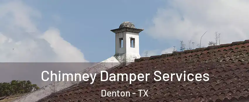 Chimney Damper Services Denton - TX