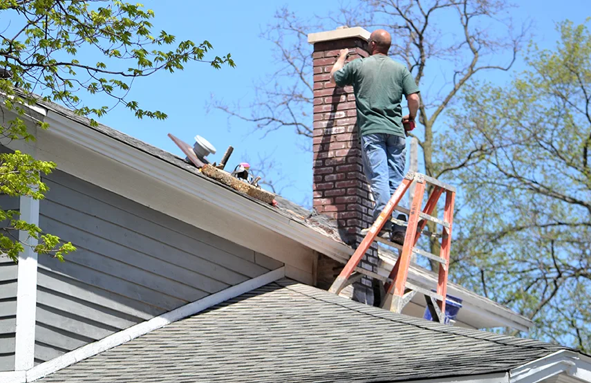 Chimney & Fireplace Inspections Services in Denton, TX